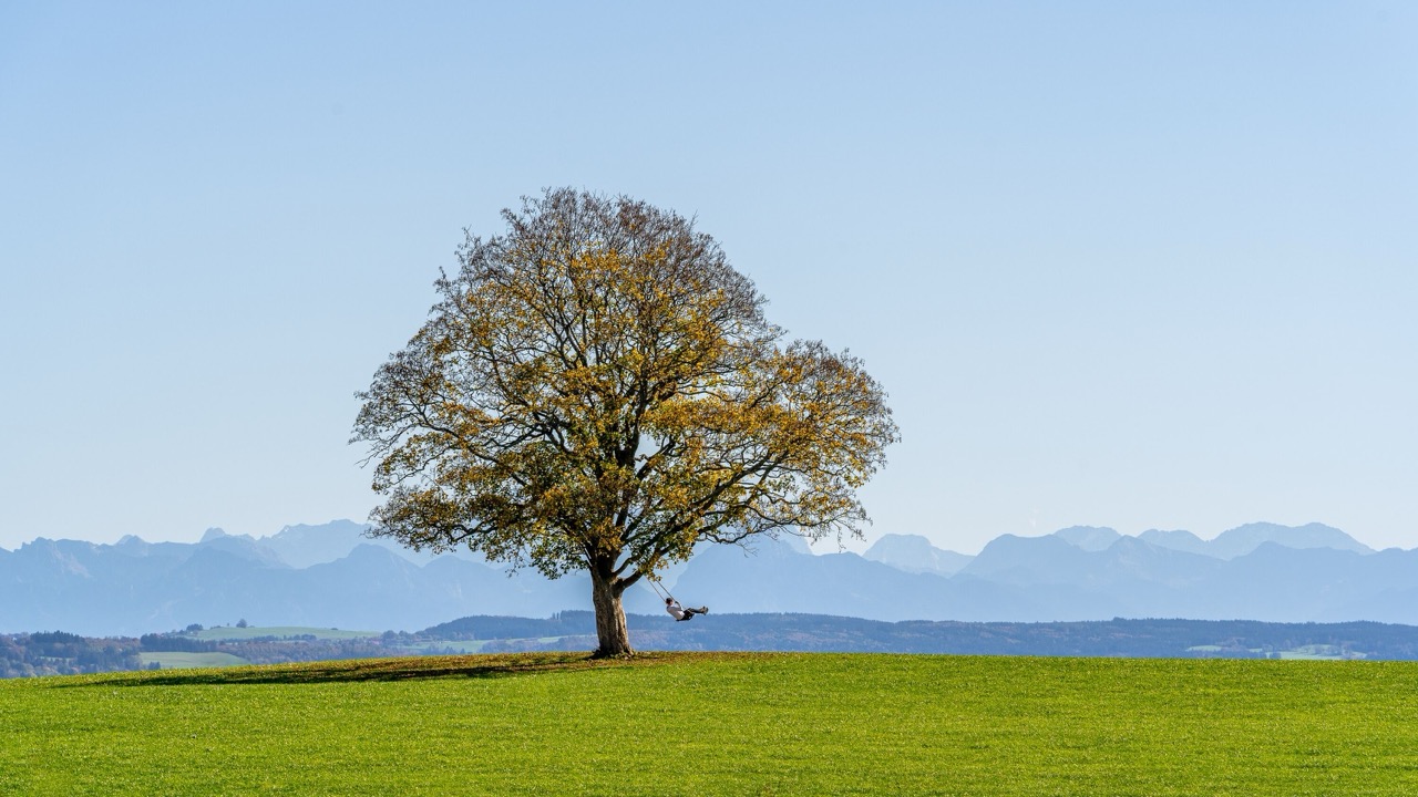 Allgäu Landschaft - Arbeiten wo andere Urlaub machen